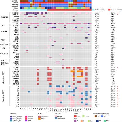 Comparative Genomic Analysis Reveals Genetic Variations in Multiple Primary Esophageal Squamous Cell Carcinoma of Chinese Population